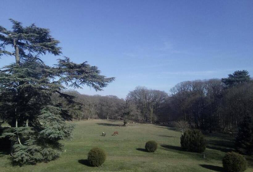 住宿加早餐  Chateau Du Guérinet D Orchaise