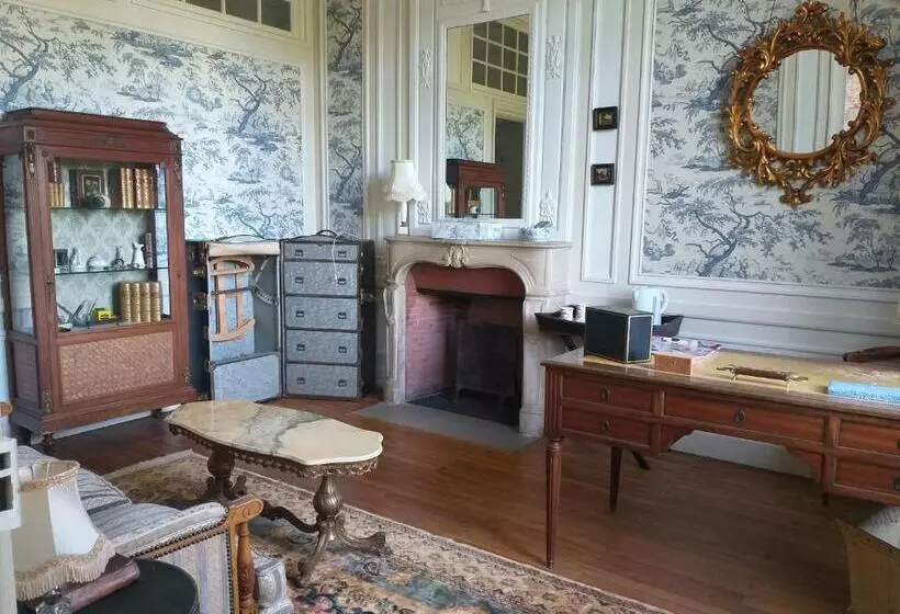 ベッドアンドブレックファースト Chateau Du Guérinet D Orchaise
