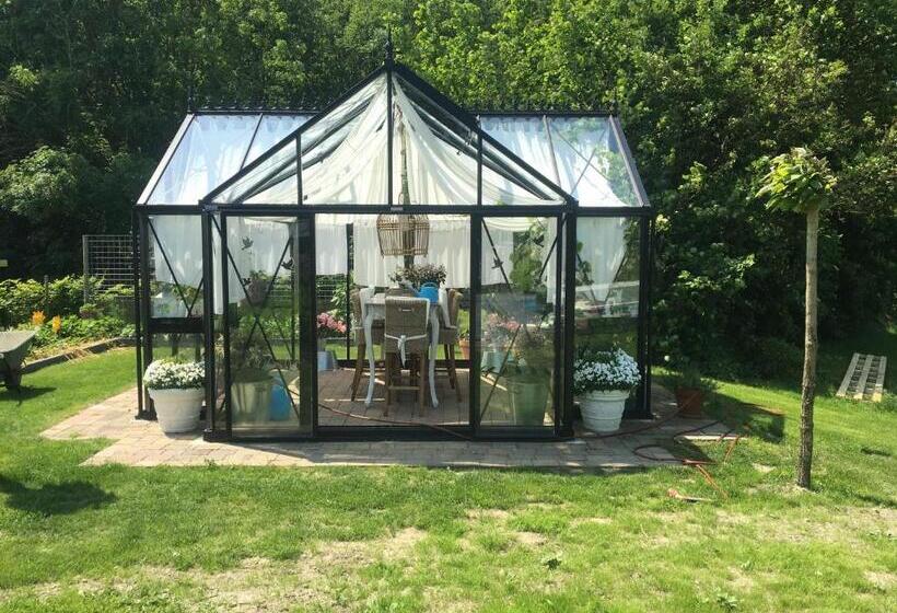 Bed and Breakfast T Gorsje