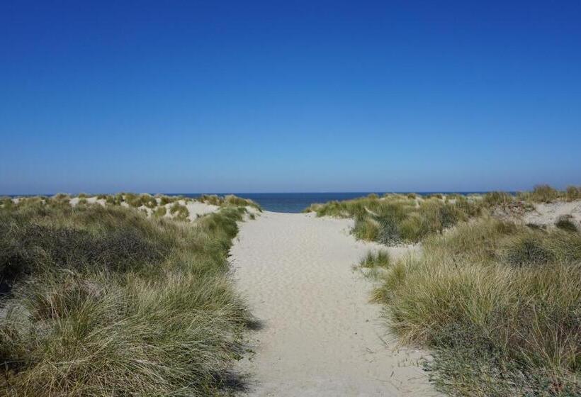 Bed and Breakfast T Gorsje