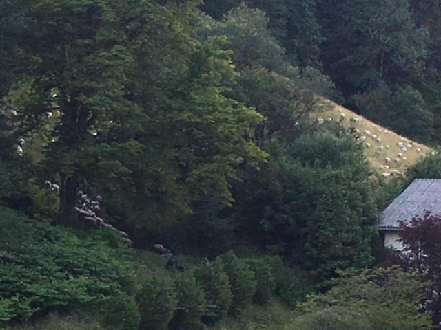 Отель Residential&guesthouse Living Fürstenbau