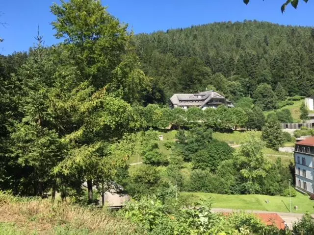ホテル Residential&guesthouse Living Fürstenbau