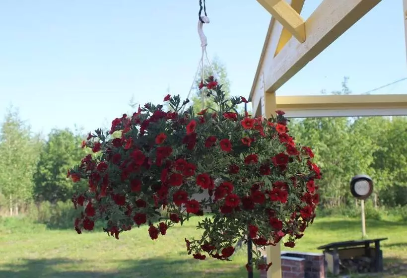 Jääskän Loma, Kojolapark Luiska Hostelli