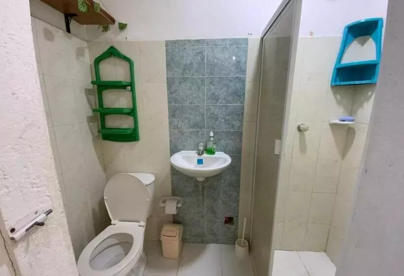 پانسیون Casa Universitaria El Trebol
