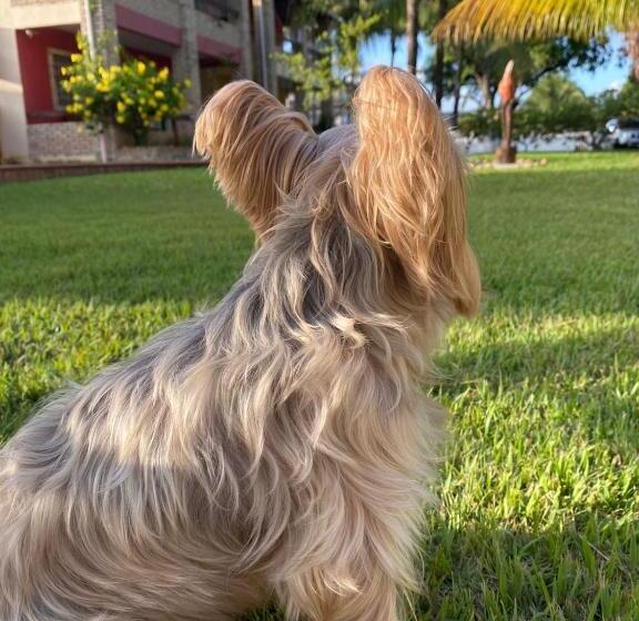 پانسیون Chalé Brasil Dolce Vita 1