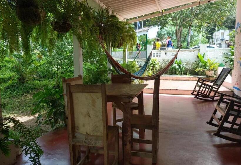 פנסיון Hostel Villa Silvia