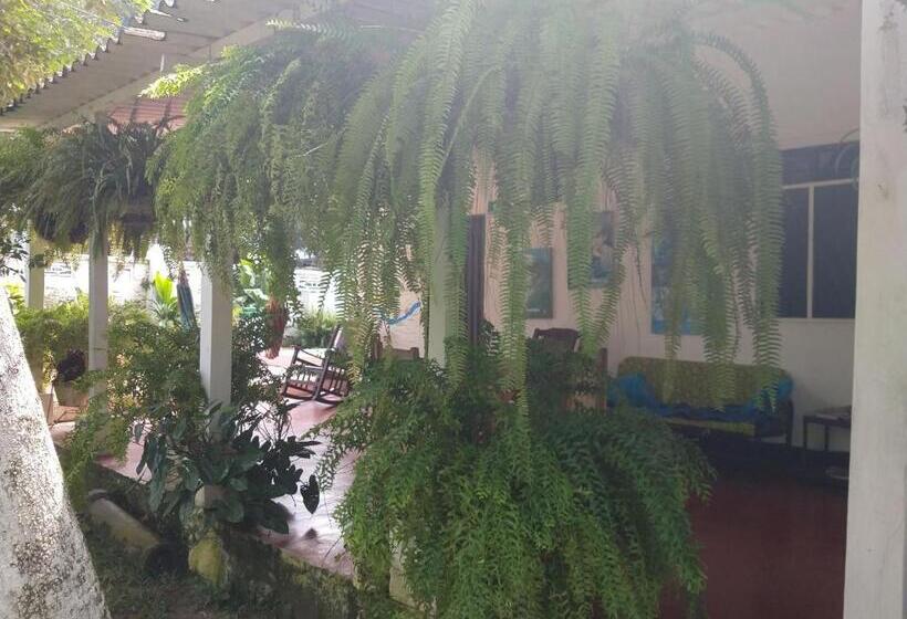 פנסיון Hostel Villa Silvia