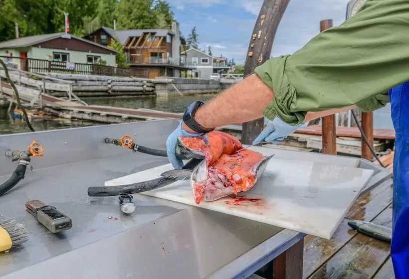 Lomakeskus Woods End Landing