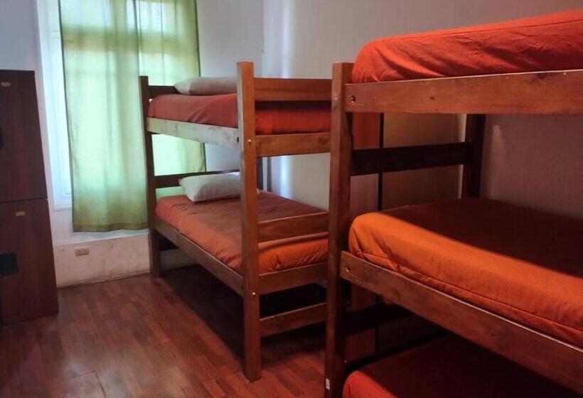 Wild Bellavista Hostel