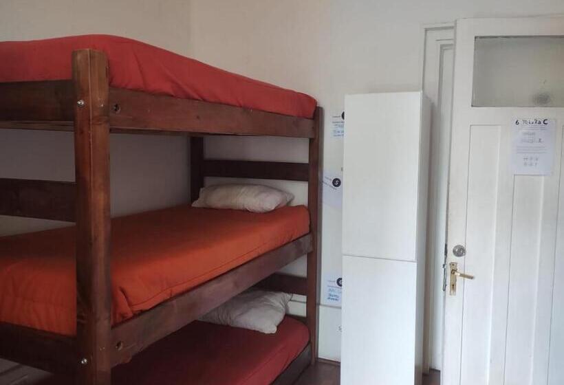 Wild Bellavista Hostel