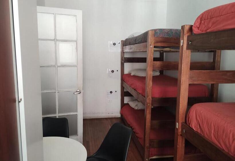 Wild Bellavista Hostel