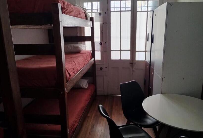 Wild Bellavista Hostel