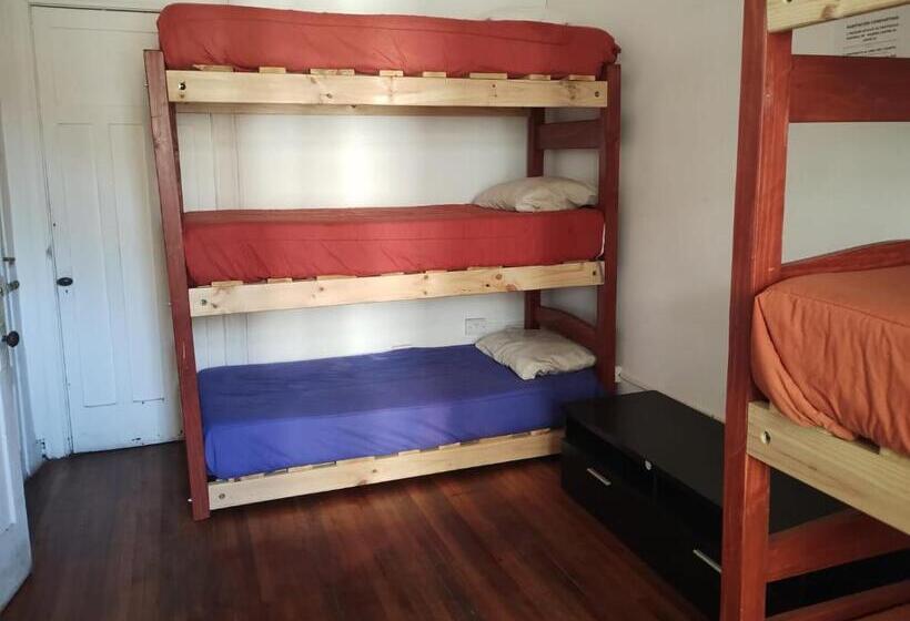 Wild Bellavista Hostel