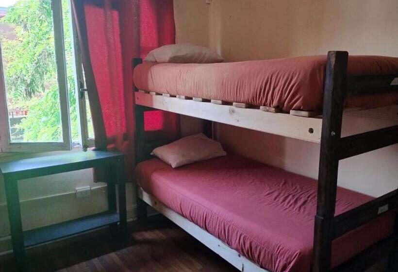 Wild Bellavista Hostel