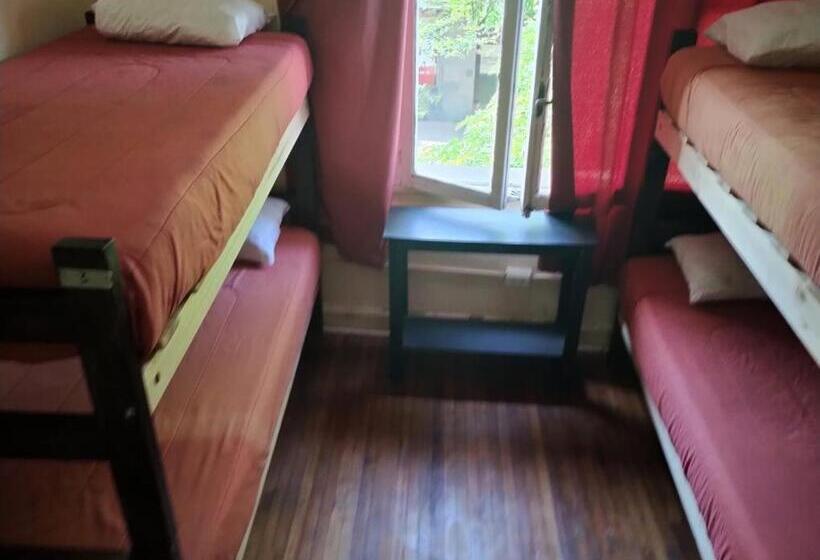 Wild Bellavista Hostel