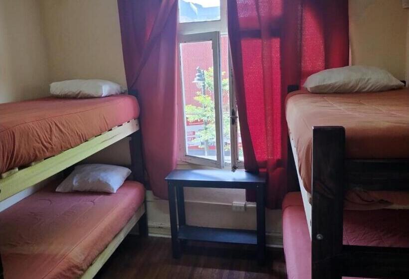 Wild Bellavista Hostel