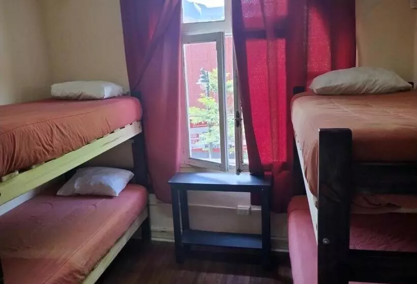 Wild Bellavista Hostel