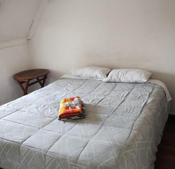 Wild Bellavista Hostel