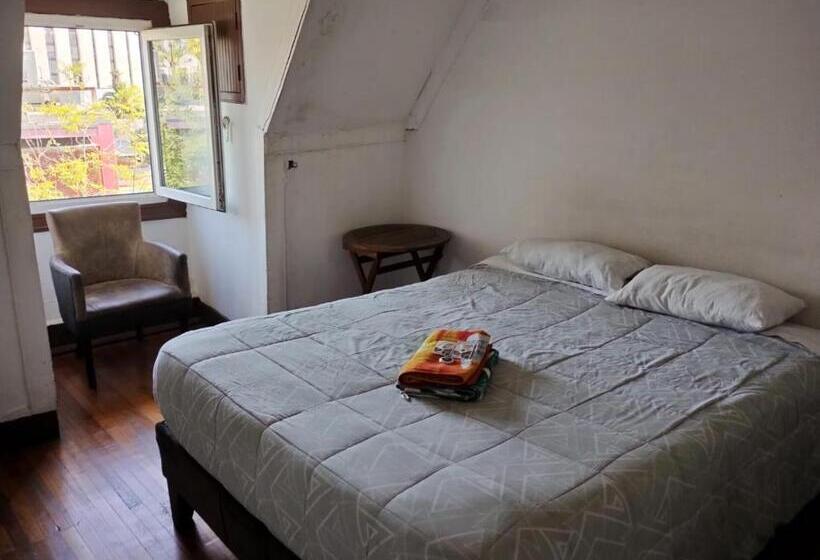 Wild Bellavista Hostel