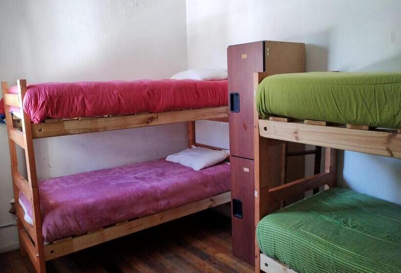 Wild Bellavista Hostel