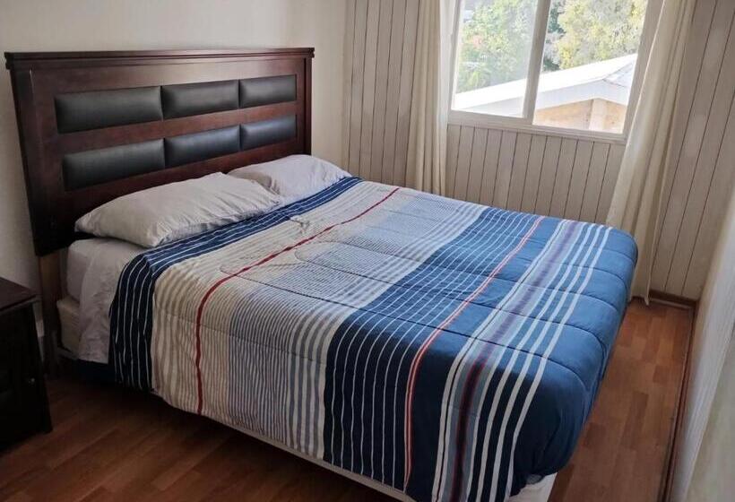 Wild Bellavista Hostel