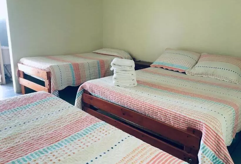 ユースホステル Hostal Amunategui