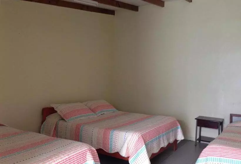ユースホステル Hostal Amunategui