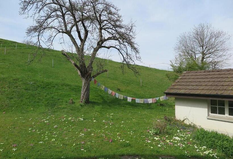 B&b Sigrid Braun Budde