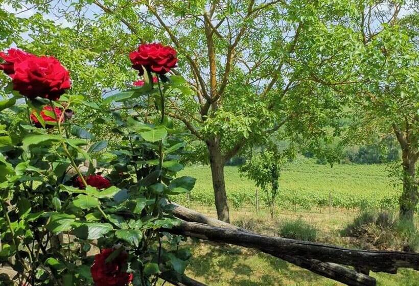 ベッドアンドブレックファースト Cascina Valtignosa Camere Con Vigna