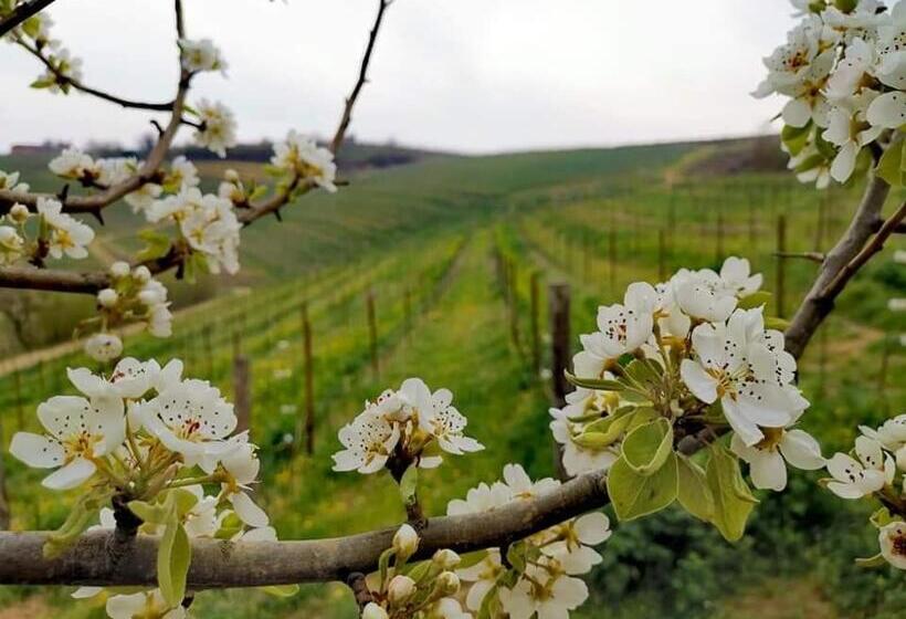 ベッドアンドブレックファースト Cascina Valtignosa Camere Con Vigna