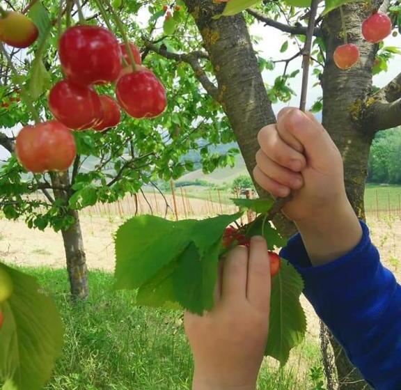ベッドアンドブレックファースト Cascina Valtignosa Camere Con Vigna