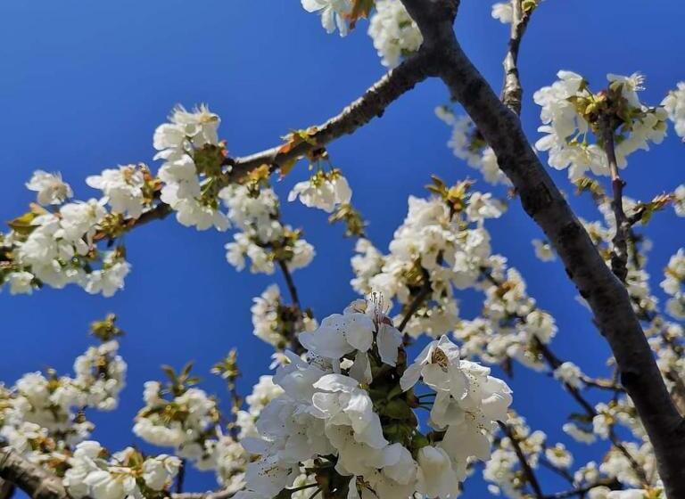 ベッドアンドブレックファースト Cascina Valtignosa Camere Con Vigna