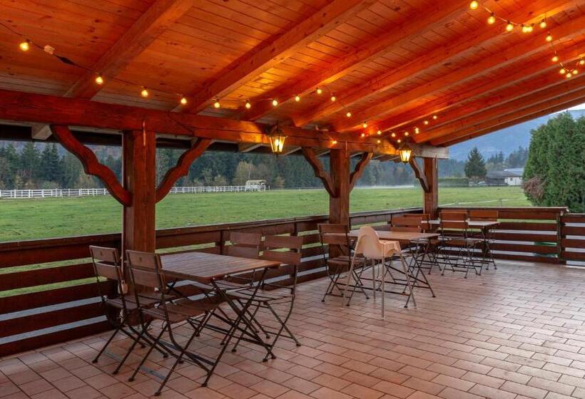 هتل Burger Veniše