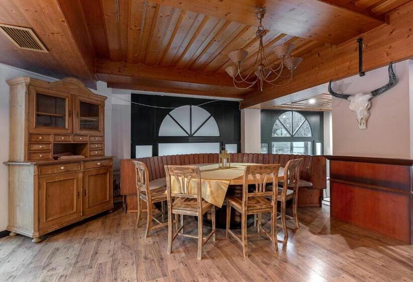 هتل Burger Veniše