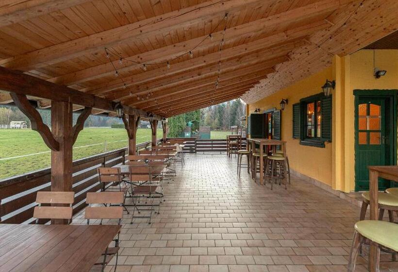 هتل Burger Veniše