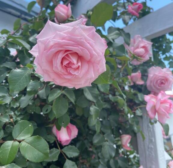 فندق على الطريق Gettysburg Inn