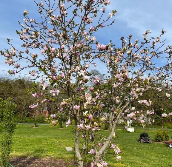 فندق على الطريق Gettysburg Inn