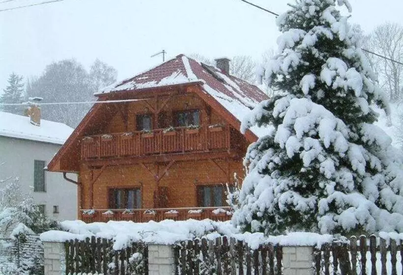 ペンション Penzion U Hološov
