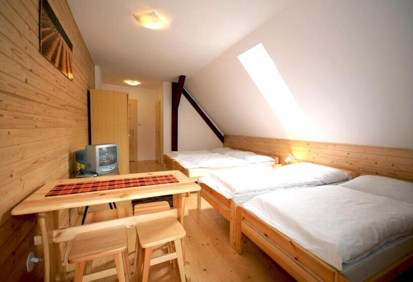 Пансион Penzion U Hološov