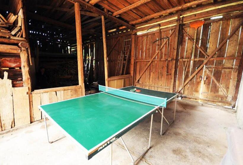 Пансион Penzion U Hološov