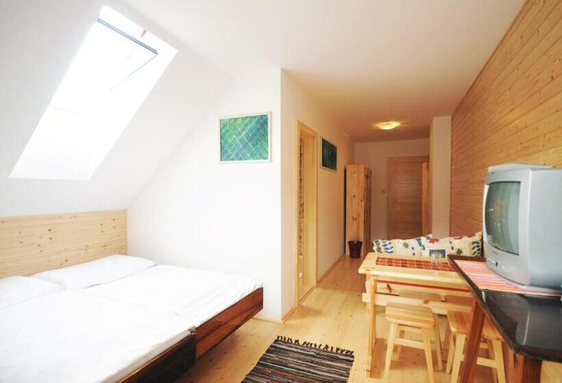 Пансион Penzion U Hološov