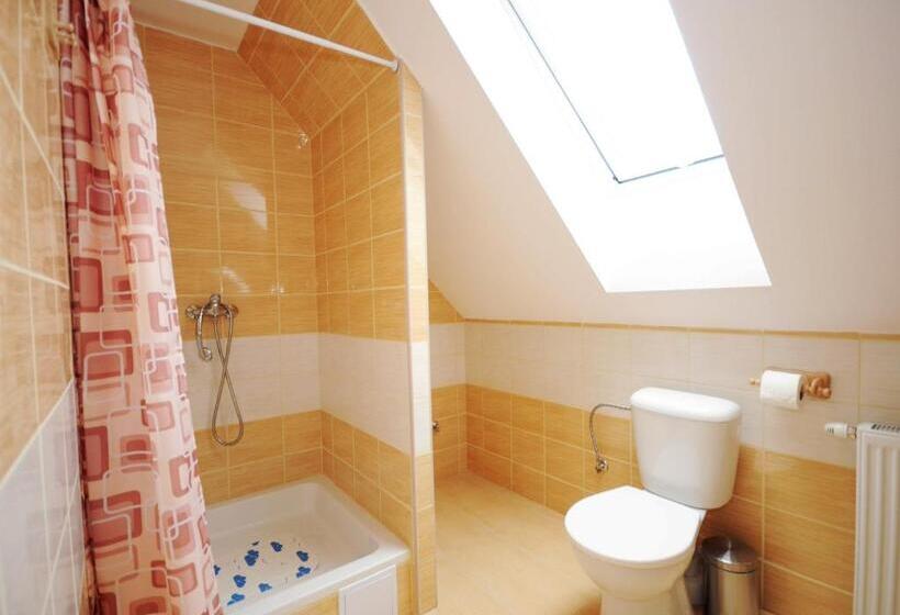 Пансион Penzion U Hološov