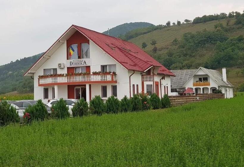 Pensiunea Domnika
