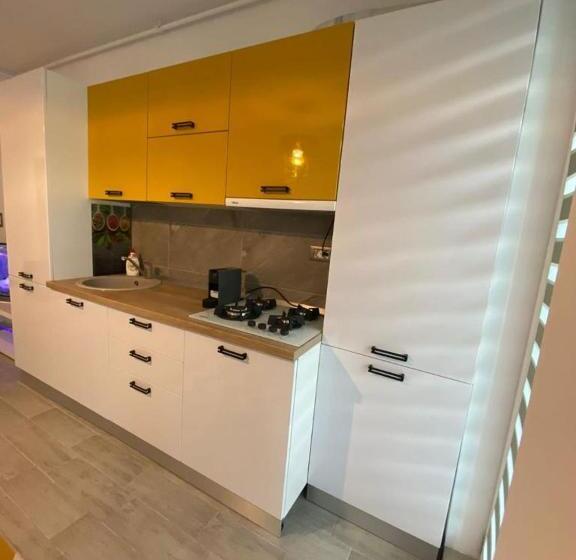 Studio Star Sea By Alz