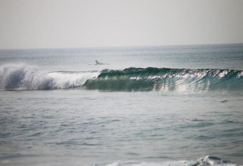 Bed and Breakfast Point Break Varkala