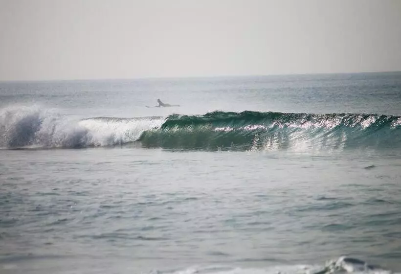 Aamiaismajoitus (B&B) Point Break Varkala