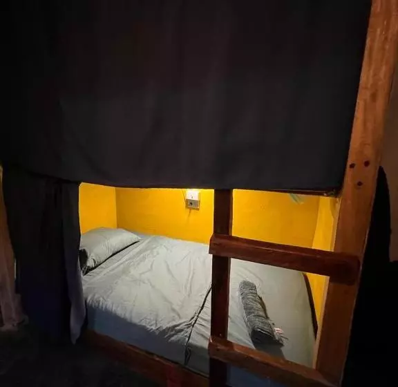 ベッドアンドブレックファースト Sasy Dorm