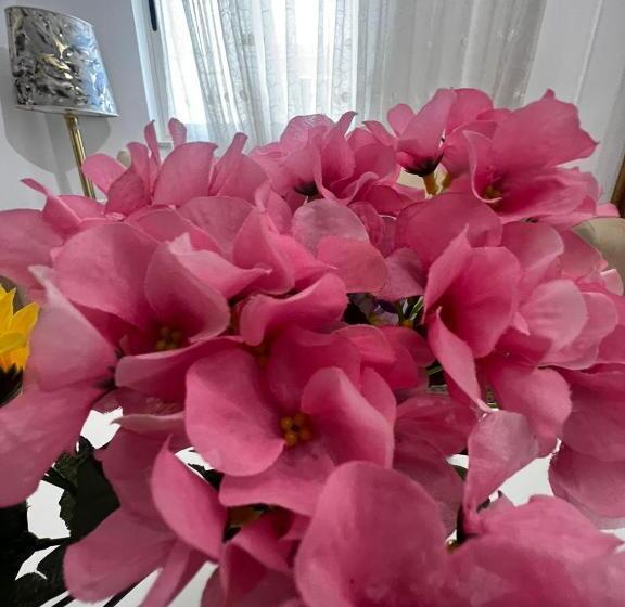 בית מלון כפרי Budget Retreat Tirana & Studios