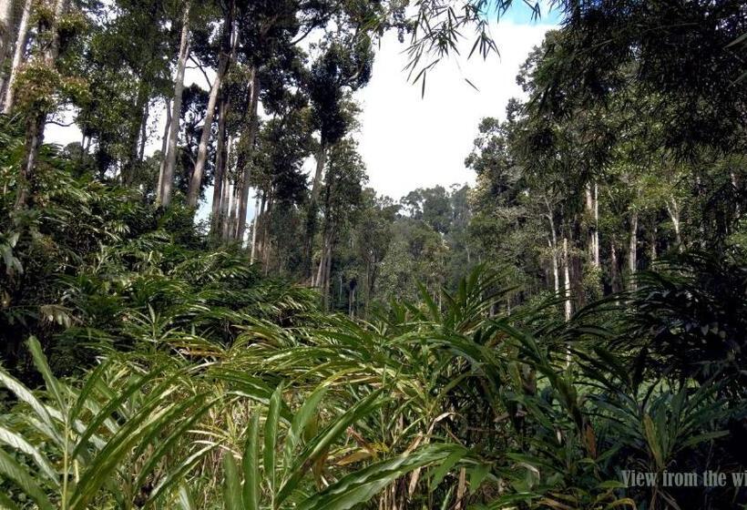 Hotelli Mist Nest Cottages Munnar