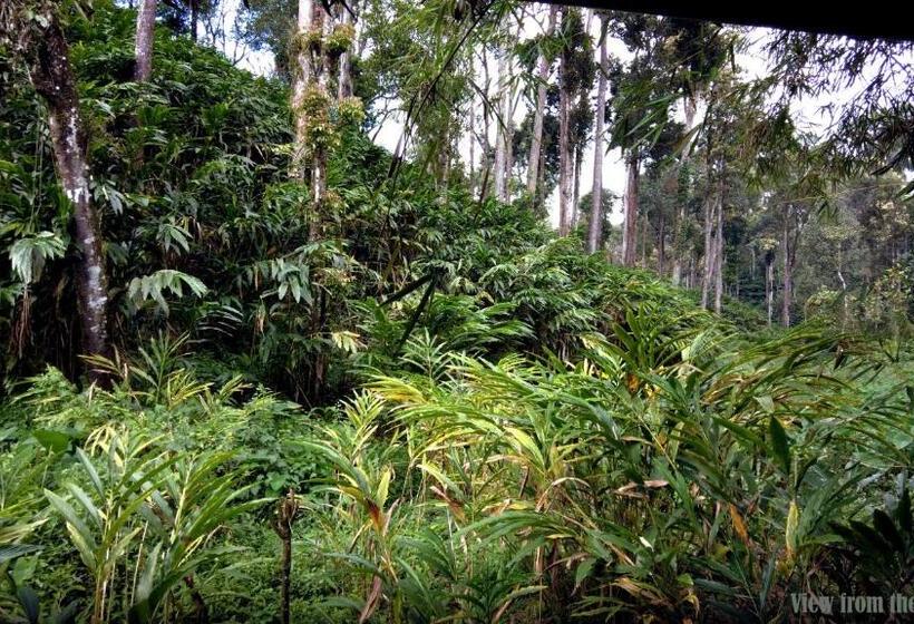 Hotelli Mist Nest Cottages Munnar